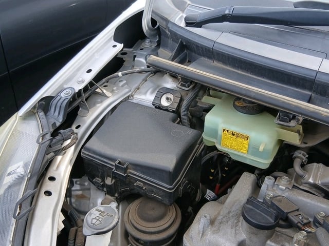 281.jpg