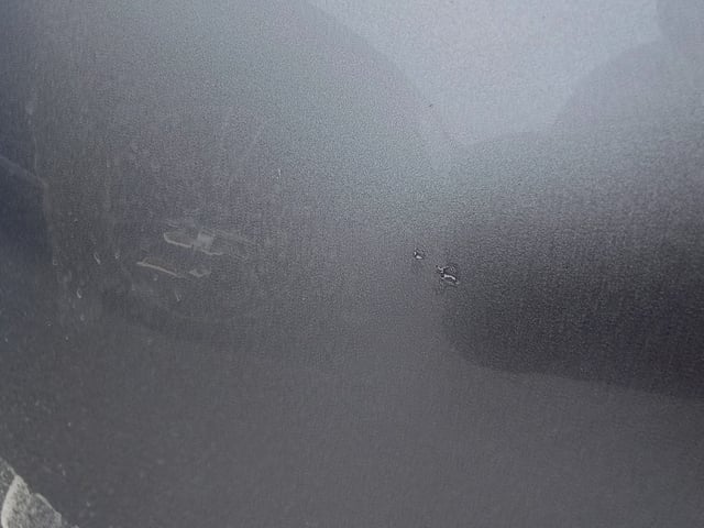 281.jpg