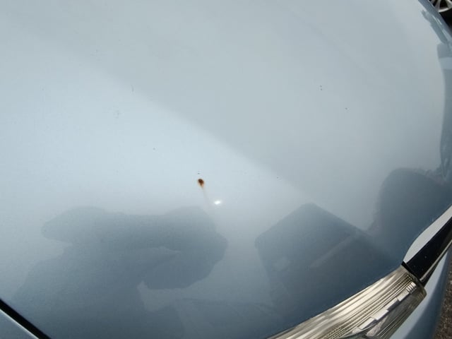 284.jpg