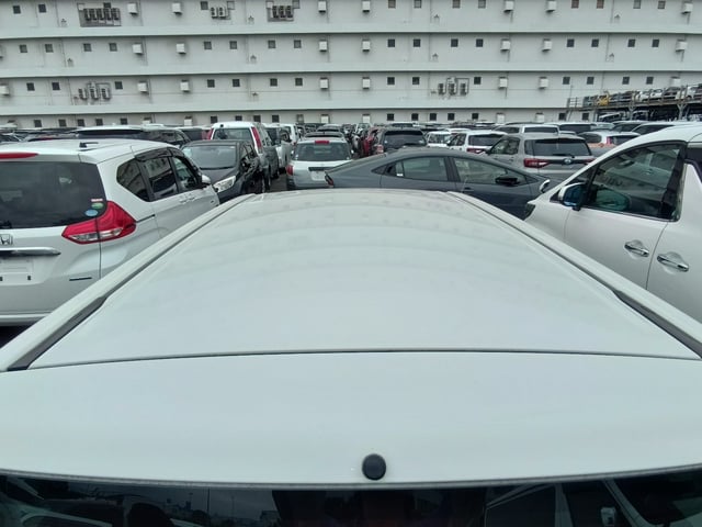 294.jpg