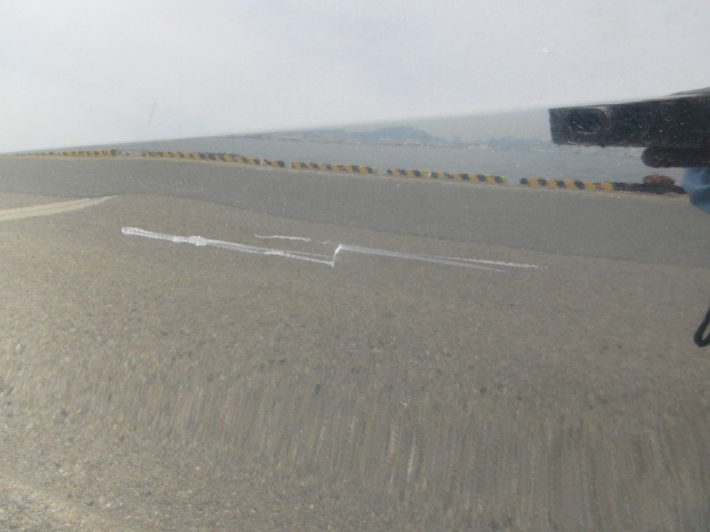 281.jpg