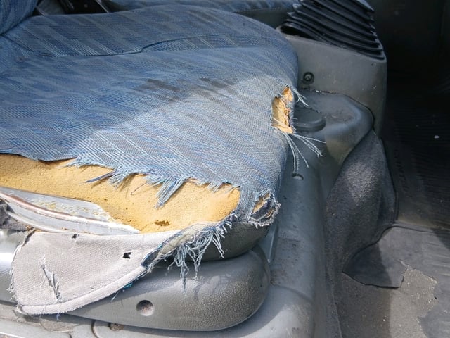 283.jpg