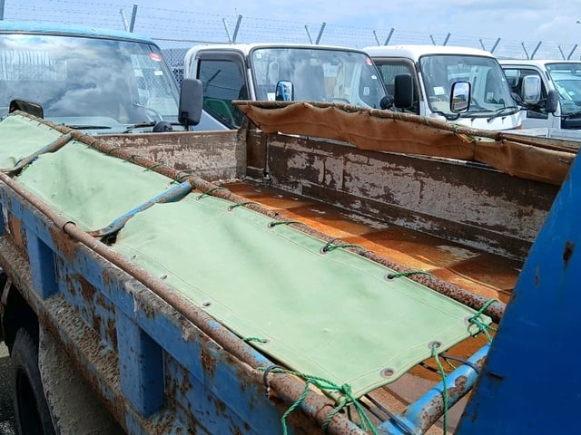 295.jpg