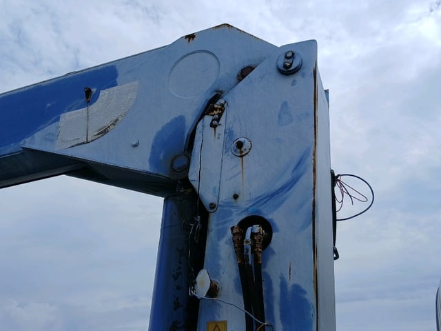 295.jpg