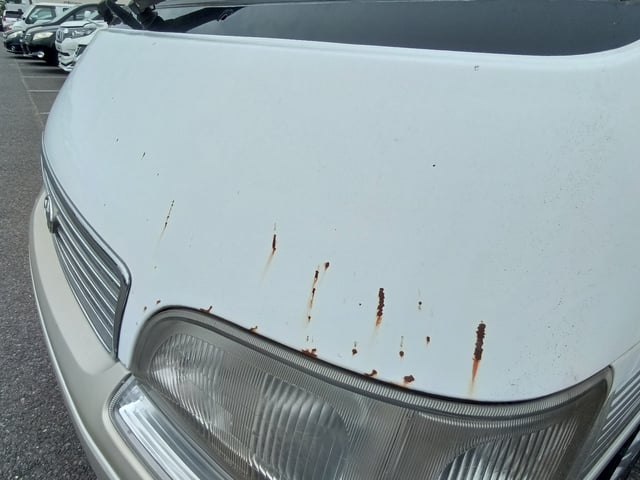 284.jpg