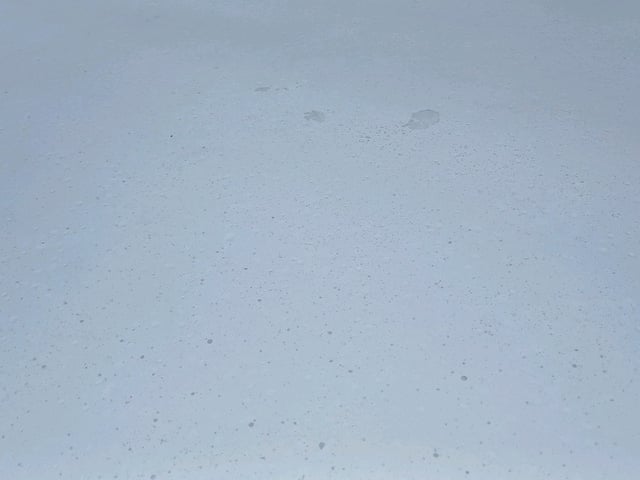 297.jpg