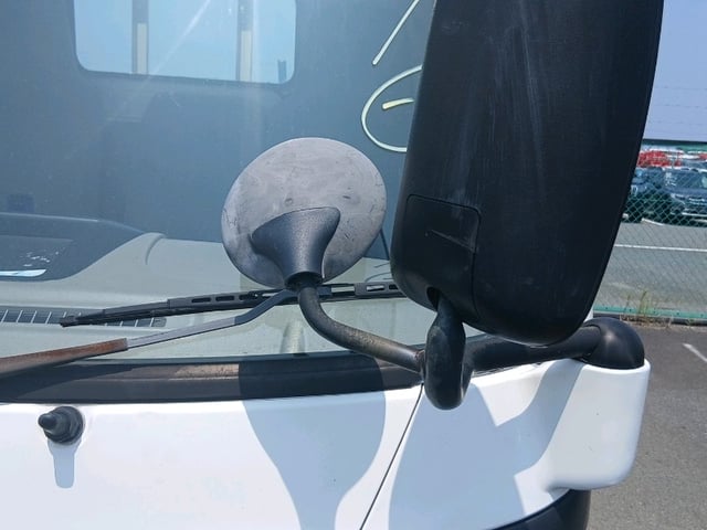 286.jpg