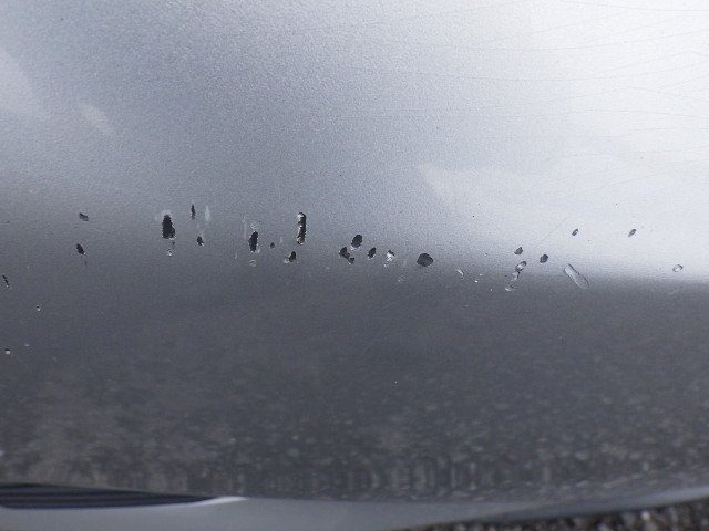 287.jpg