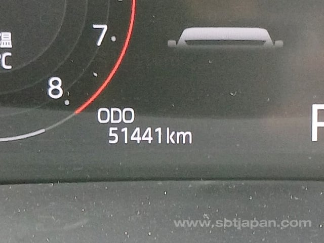 43.jpg