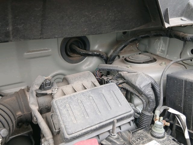 288.jpg