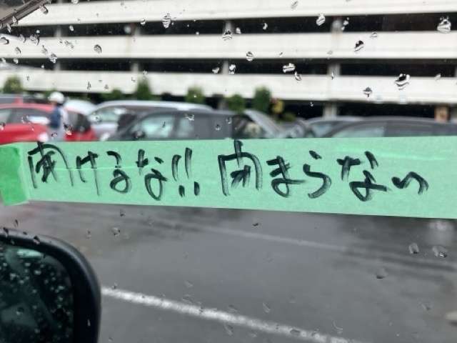 281.jpg