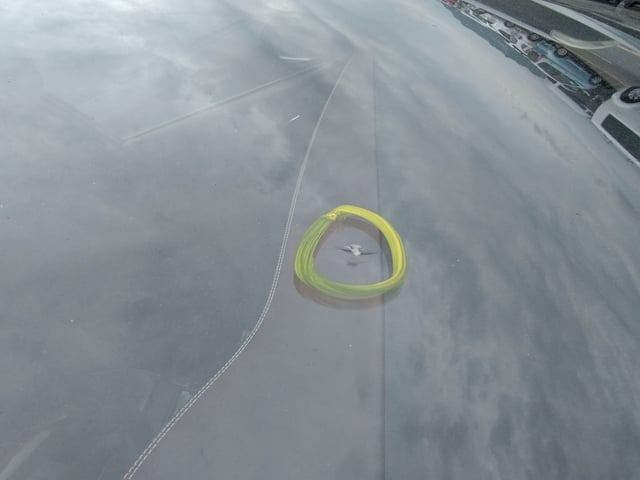 286.jpg
