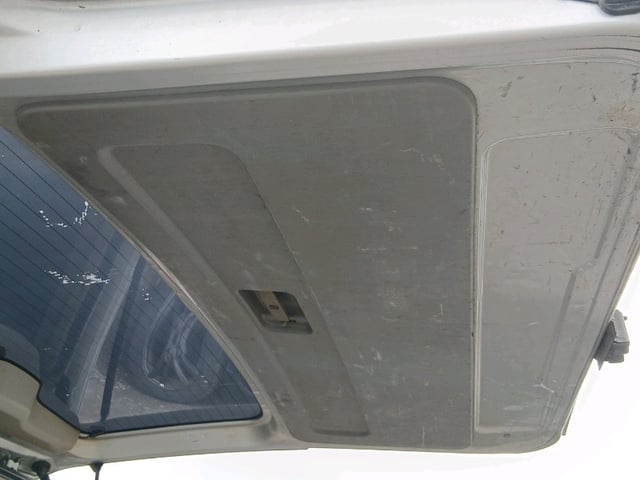 295.jpg