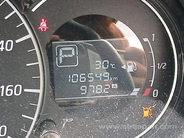 41.jpg