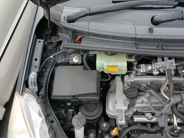 286.jpg