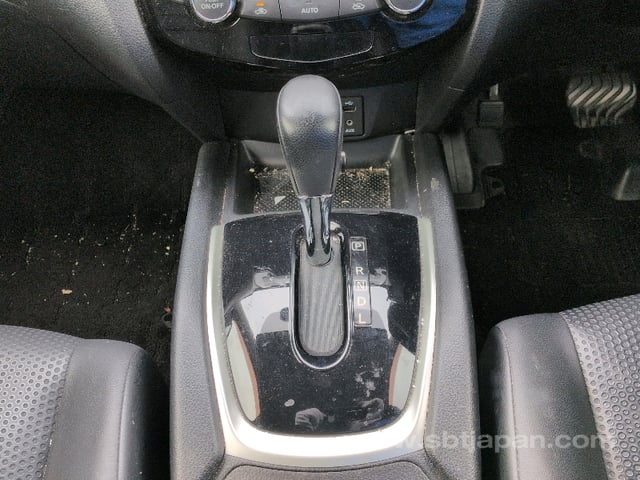 41.jpg