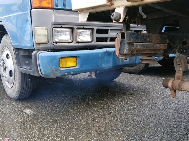 286.jpg