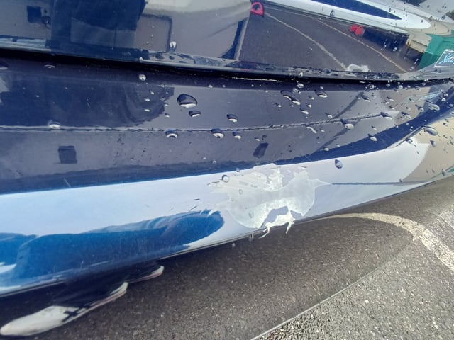 280.jpg