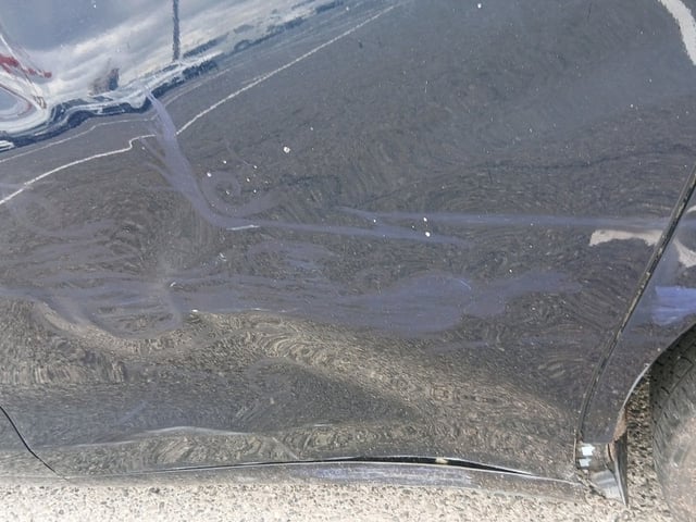 286.jpg