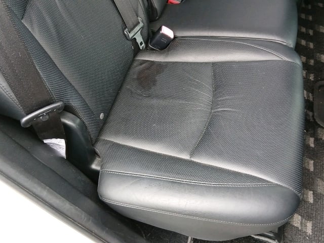 291.jpg