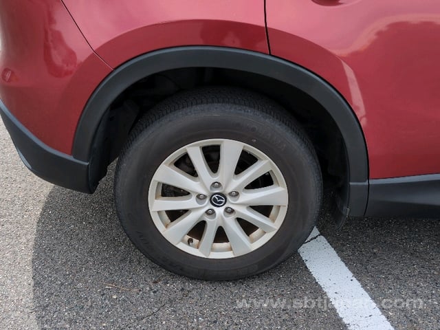 10.jpg