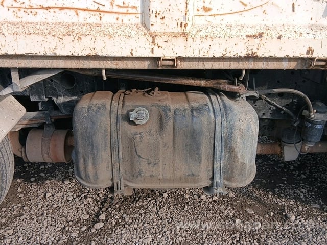 25.jpg