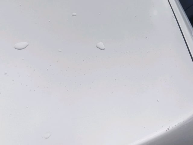 299.jpg