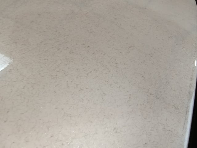 282.jpg