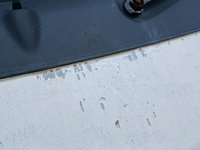 282.jpg