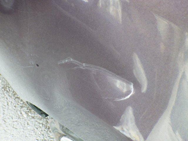 287.jpg