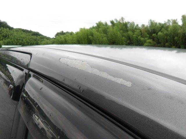 283.jpg