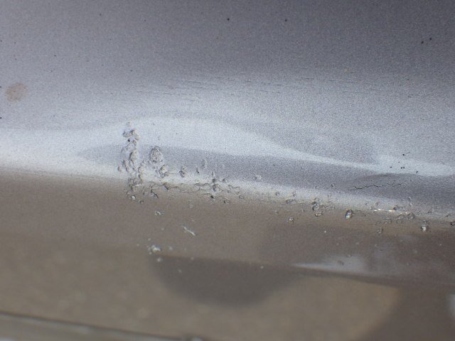 281.jpg