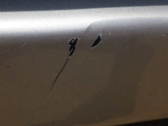 287.jpg