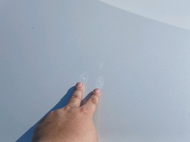 280.jpg