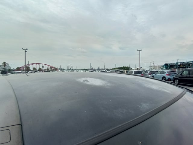 281.jpg