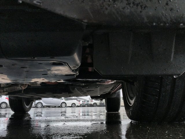 286.jpg