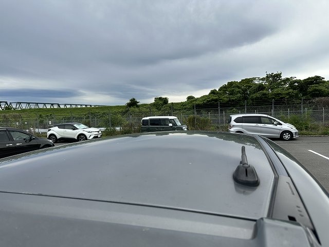 280.jpg