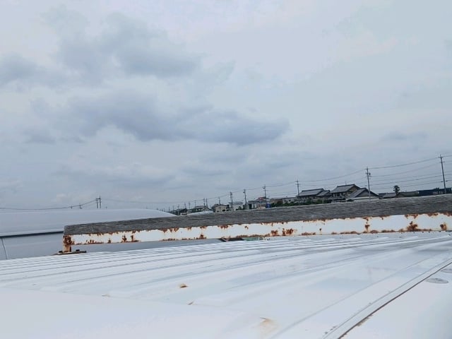 288.jpg