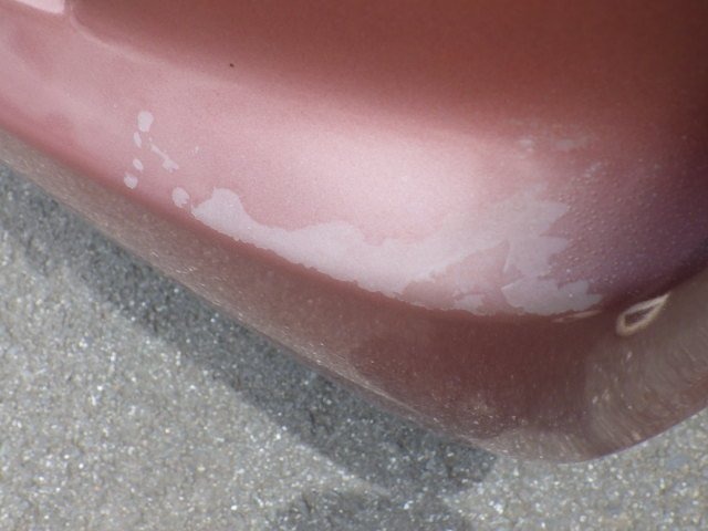 281.jpg