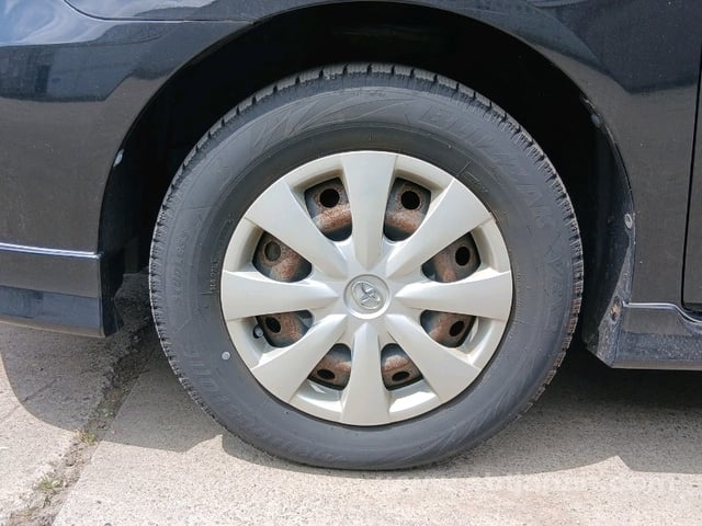 12.jpg