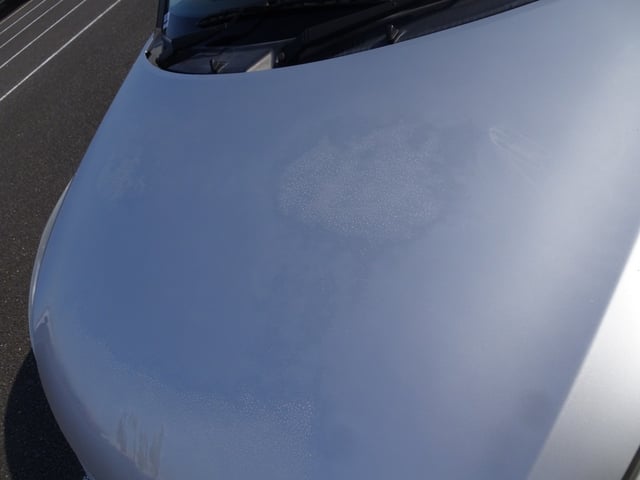 281.jpg