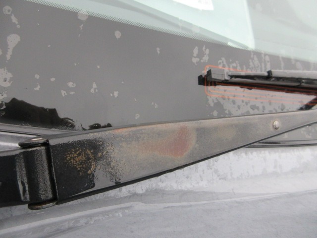 281.jpg