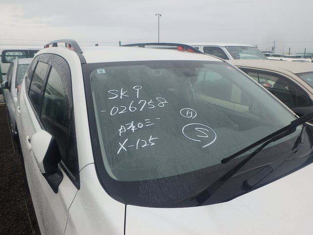 280.jpg