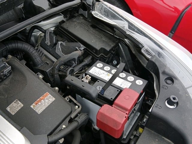 285.jpg