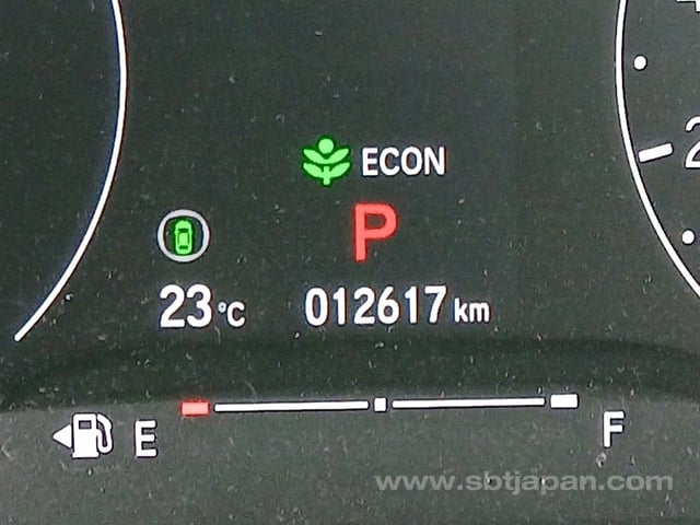 33.jpg