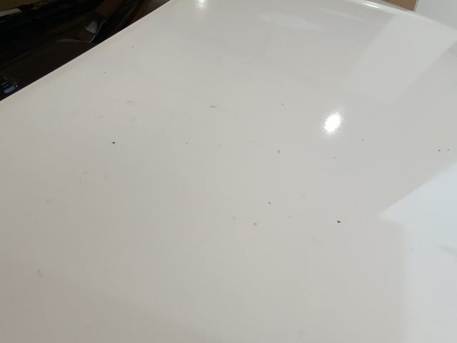 280.jpg