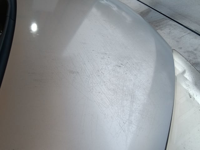 280.jpg
