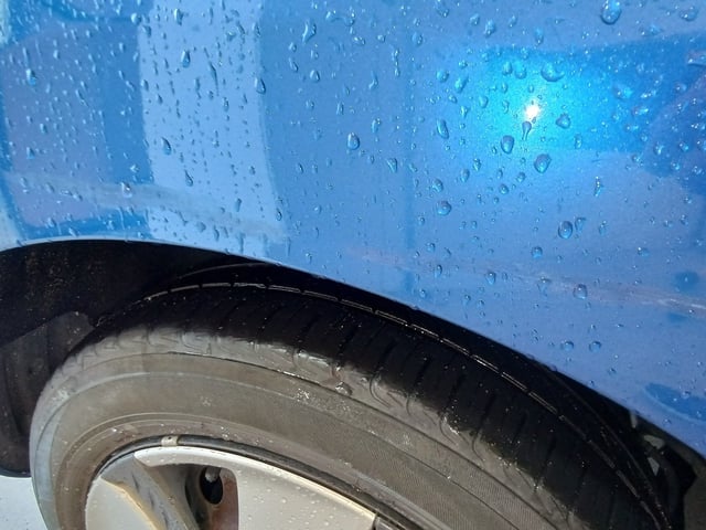 283.jpg