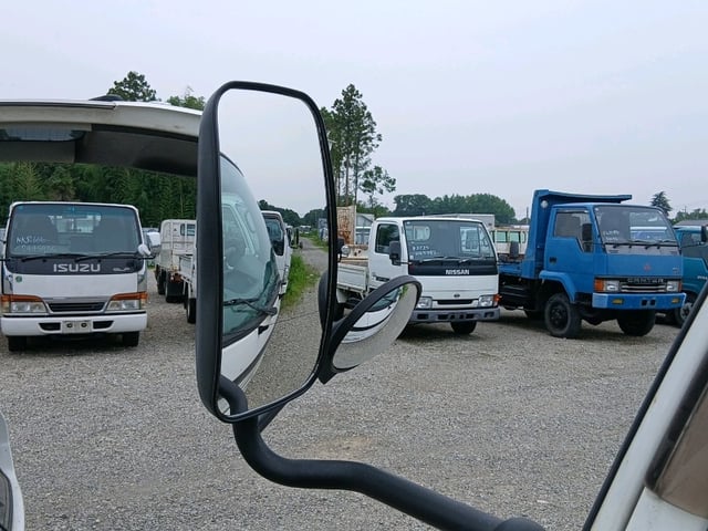 295.jpg