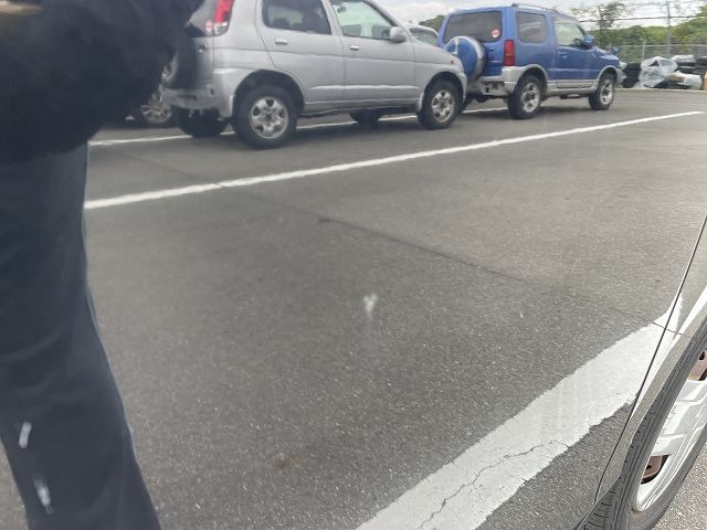 281.jpg